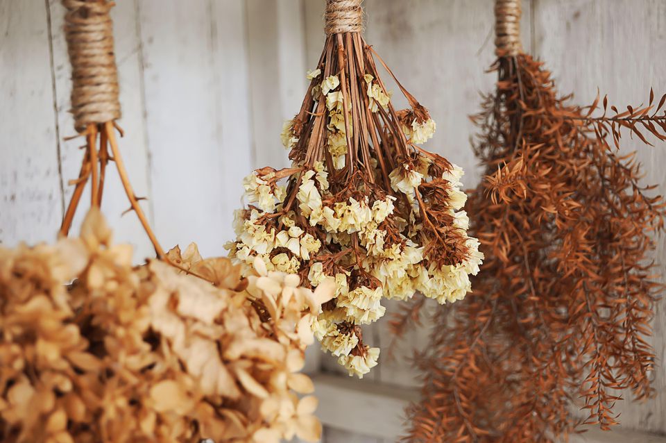 Dried Flowers & Grasses –